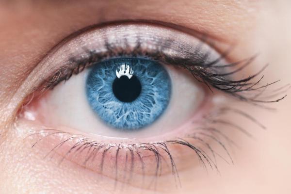 Blindness-Causing Genetic Defect