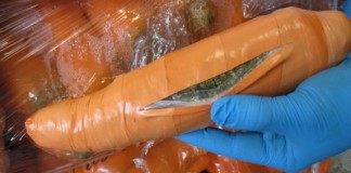 Pot Inside Fake Carrots