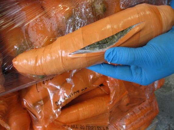Pot Inside Fake Carrots