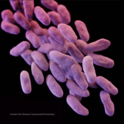 Scopes Linked To Superbug Outbreak