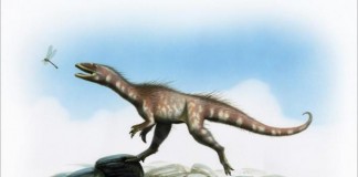 Oldest Jurassic Dinosaur In Britain