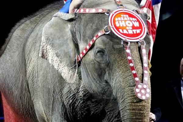 Ringling Bros. Retiring