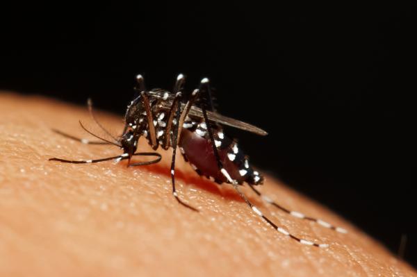 U.K. Diagnoses 3 With Zika Virus