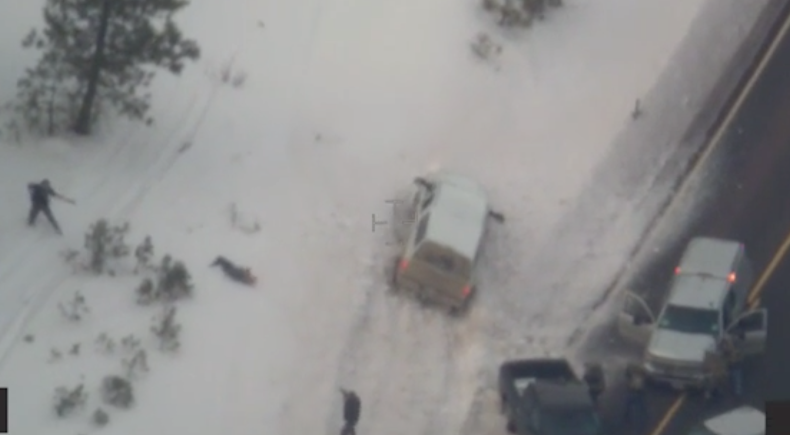 Video Of LaVoy Finicum Shooting