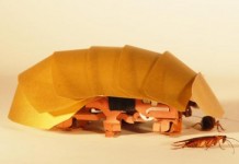 Cockroach-Like CRAM Robot