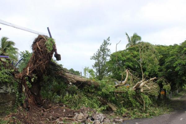 Death Toll In Fiji