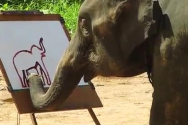 Elephant Paints