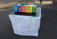 Girl Scout Sells Cookies Outside