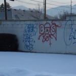 Graffiti Spree Vandals