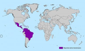 Areas of active Zika virus transmission. Image: Center for Disease Control and Prevention