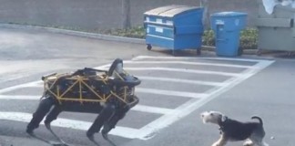 Boston Dynamics' 'Spot' Robot