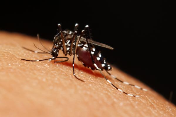 CDC-Zika-Virus-causes-birth-defects