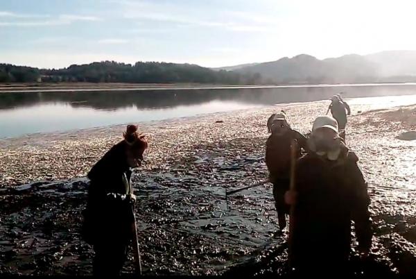 Tons-of-dead-sardines-wash-up-on-shores-of-river-in-Chile