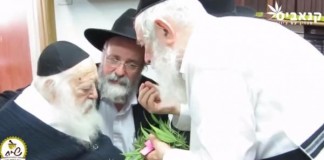 Ultra-Orthodox-rabbi-declares-medical-marijuana-kosher-for-Passover
