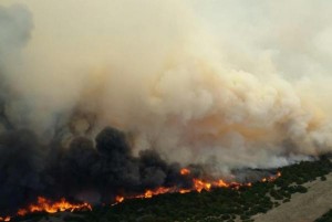 The 350 Complex wildfire burns in Oklahoma on Wednesday. The blaze, formed by four separate wildfires, has charred 55,000 acres, destroyed several homes and prompted the evacuations of hundreds of residents. Photo courtesy Oklahoma Forestry Service/Facebook