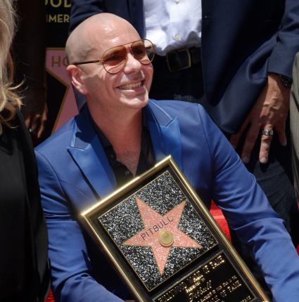 Pitbull Gets a Star on the Hollywood Walk of Fame | Gephardt Daily