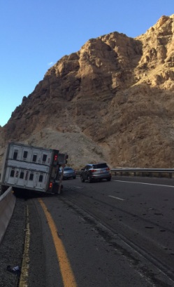 A semi-tractor trailer carrying 172 pigs crashed on Interstate 15 near St. George Monday afternoon, according to the Arizona Department of Public Safety. Photo Courtesy: Arizona Department of Public Safety