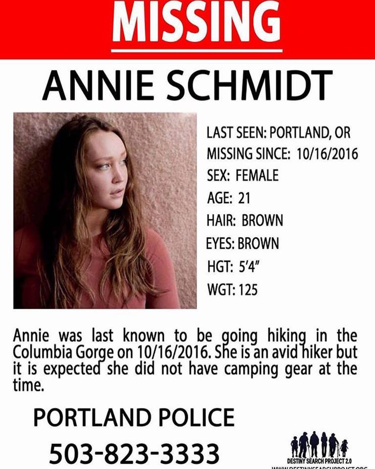 Search for Annie poster. Image: Facebook/The Piano Guys