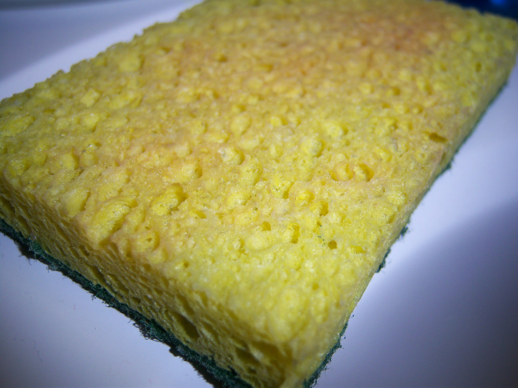 moldy sponge