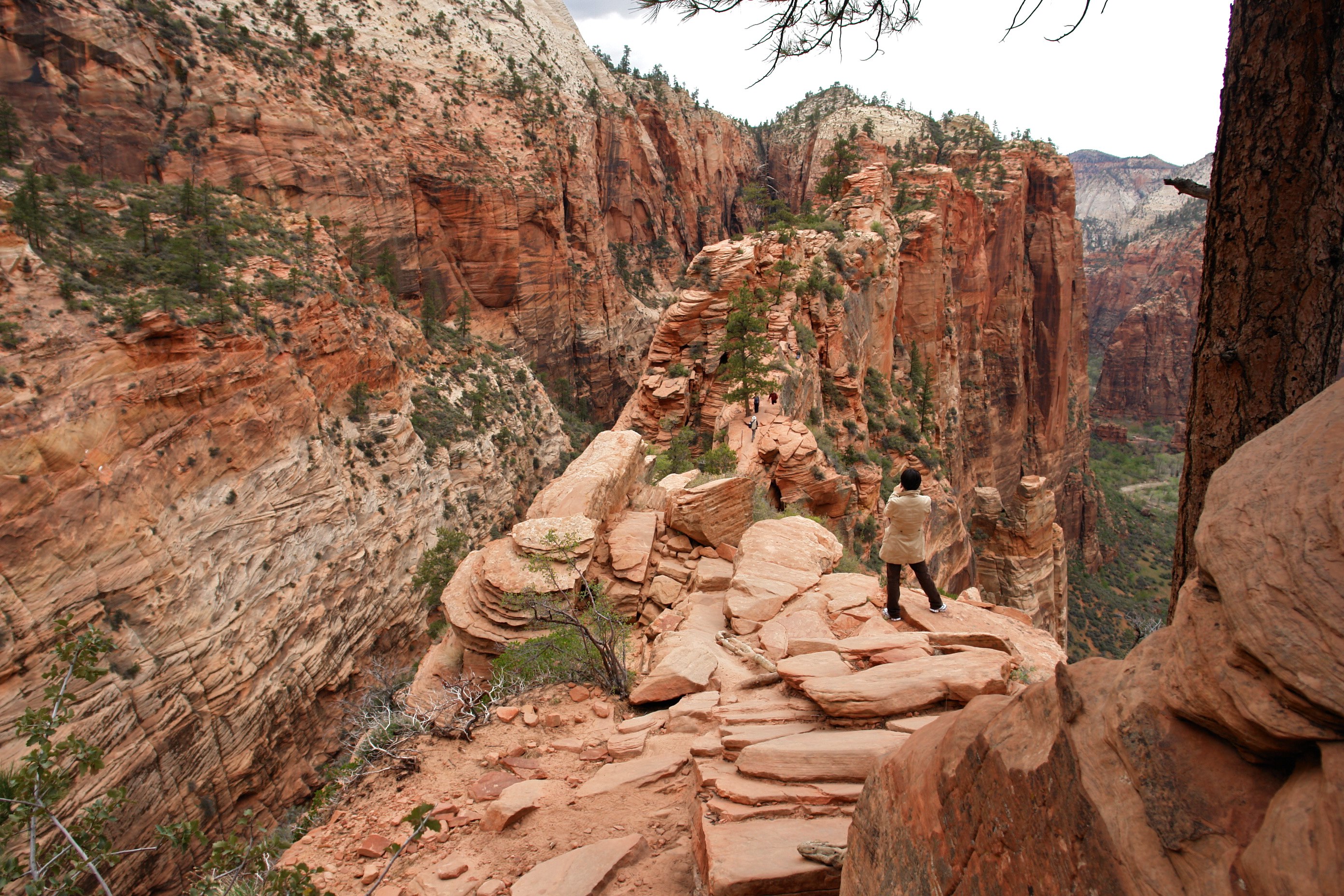 Update Hiker who died after fall in Zion National Park identified