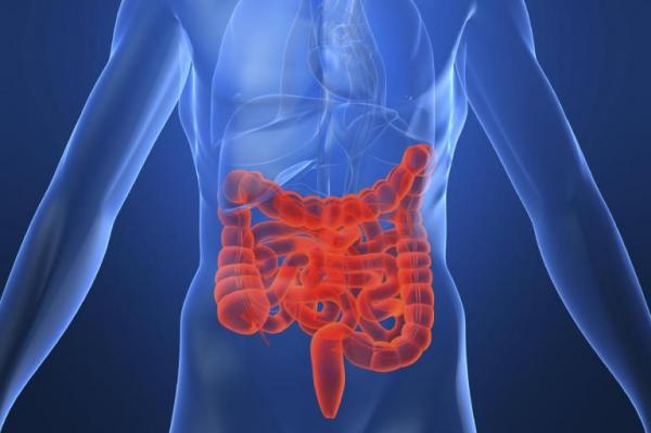New blood test may aid diagnosis of Crohn’s disease | Gephardt Daily