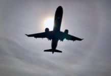 Jazz plane bird strike