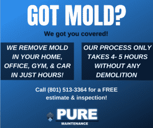 Mold Removal Utah