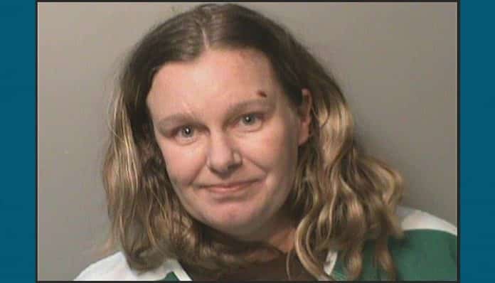Iowa-woman-receives-25-years-in-prison-for-hitting-children-with-car-due-to-their-race