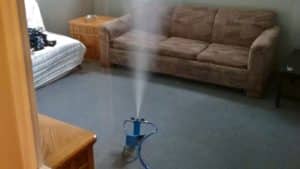 Utah Mold Removal