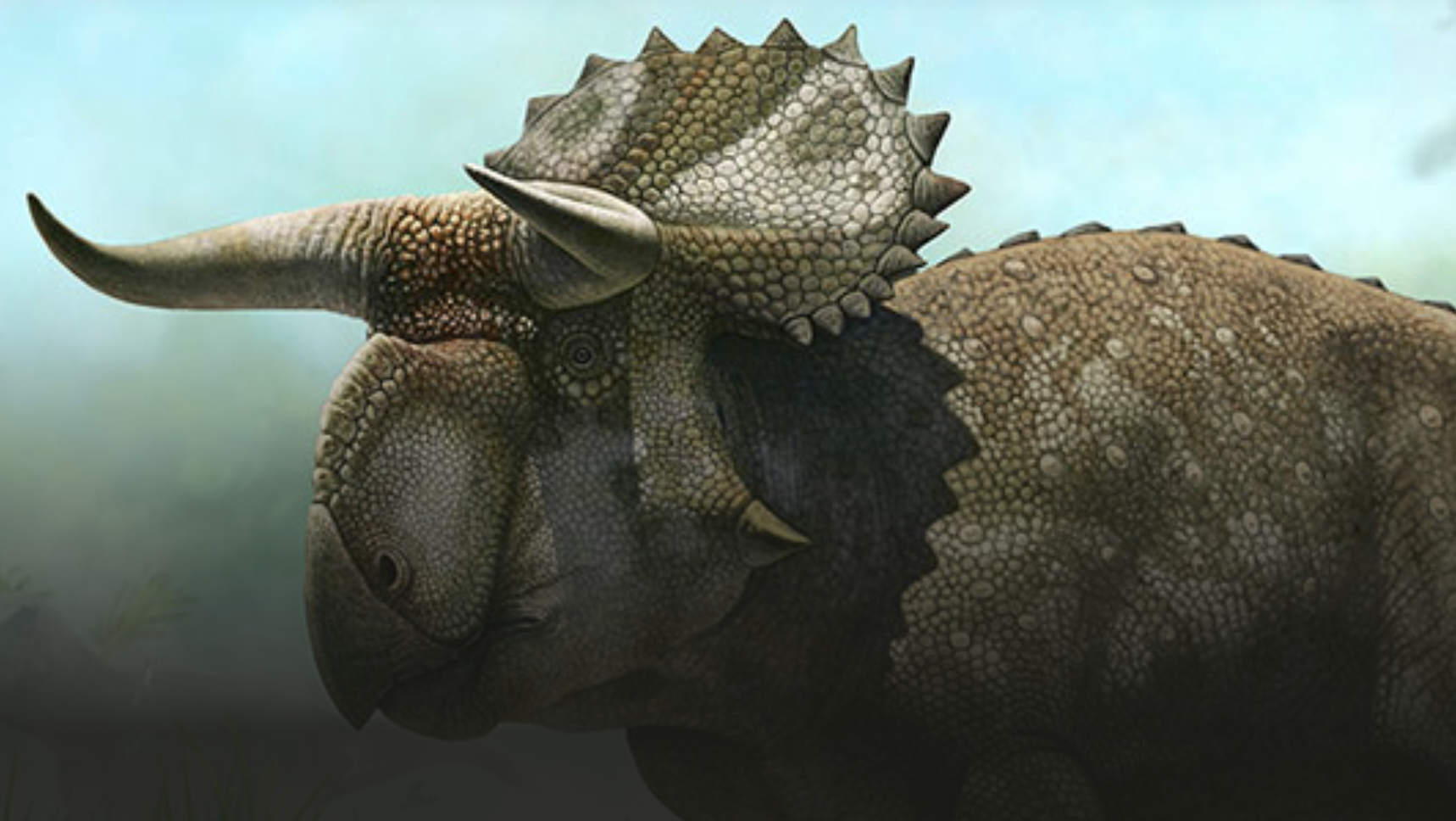 Triceratops  Jurassic world dinosaurs, Jurassic park world, Jurassic park  film