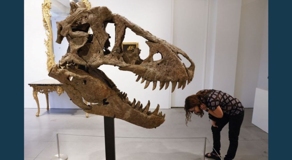 Sotheby’s To Auction One Of The Most Complete T-rex Skulls Ever ...