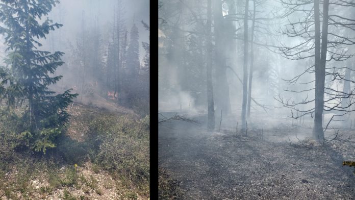 Ferron Mountain Fire 2