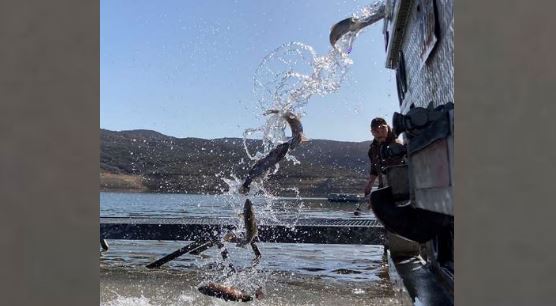 DWR estimates there will be 10 million fish stocked in Utah’s water bodies in 2023.