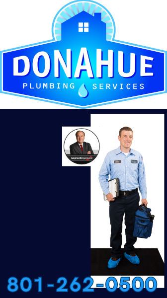Donahue 336x600 | Gephardt Daily