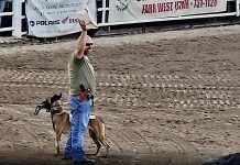 Sgt. Mike Allred and K-9 partner Azula, Box Elder County Sheriff's Office, are shown in a screen sot from a video shared by BESO.