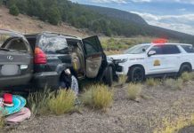 UHP: Man who led troopers, deputies on chase in Beaver, Iron counties has history of grand theft auto