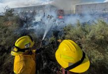 West Valley City firefighters knock down 6-acre grass fire