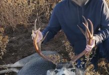 2 hunters accused of poaching in southeastern Utah