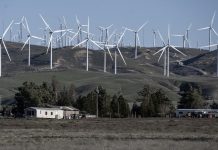 Federal judge strikes down Trump’s ban on wind energy projects