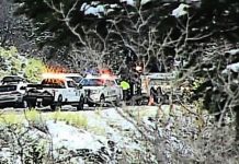 Man, 23, dead after car loses control, leaves roadway in Little Cottonwood Canyon crash
