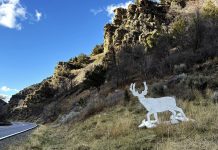 Big-game roadside silhouettes aim to reduce crashes with Utah’s wildlife