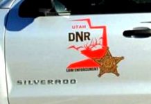 Utah DNR seeks info on intentional killing of deer fawn in Rich County