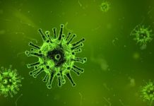 Utah measles cases hit 607 since outbreak, up 48 cases since April 5