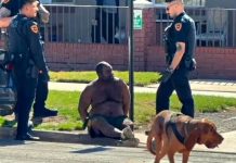 SLCPD: Argument over gun led to gunfire at Salt Lake City apartment