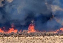 Crews from multiple towns, cities knock down 100-acre Sevier County fire