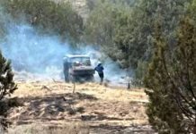 Person near a smoky vehicle in a dry, forested area, as blue smoke billows behind them during a wildfire scene