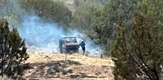 Person near a smoky vehicle in a dry, forested area, as blue smoke billows behind them during a wildfire scene