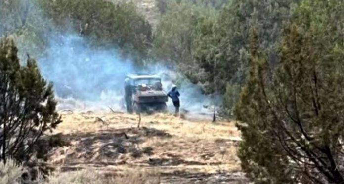 Goshen Fire 5 Person near a smoky vehicle in a dry, forested area, as blue smoke billows behind them during a wildfire scene