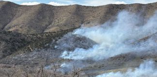 Smoke from a wildfire drifts over dry, rolling hills with charred brush and scattered trees in the foreground.