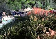 Team of rescue workers in reflective vests standing around a rocky, brushy hillside in a wooded area.